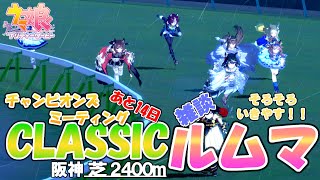 【ウマ娘】推し3編成で挑むチャンミ🐎開幕まであと14日🐎本番想定ルムマ そろそろ開始しやす！また差し3予定だが今回もきついかも？？？【2025 1月チャンピオンズミーティングCLASSIC】