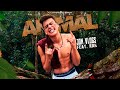 Jon Vlogs - ANIMAL (feat. Rah)