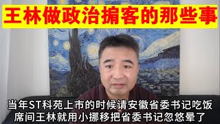 翟山鹰：王林做政治掮客的那些事丨省委书记丨股票上市