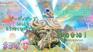 ＃34【ゼルダの伝説BotW】ヒケシトカゲは取りつくした【Breath of the Wild】【女性ゲーム実況】