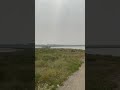 an idyllic day at ralph klein park lidgren bagpiper shorts