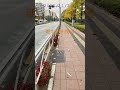 朝の甲州街道2022 11 21