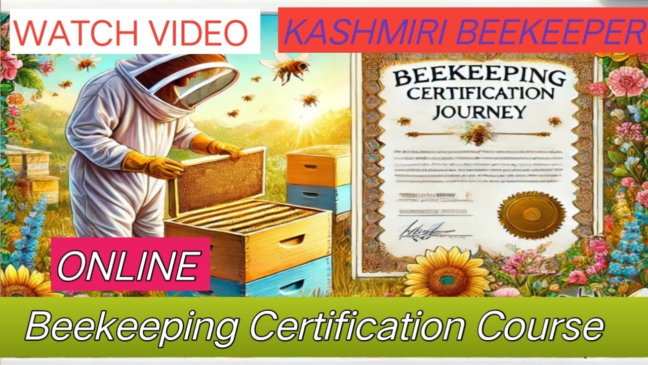 How To Earn A Beekeeping Certificate Online A Step By Step Guide