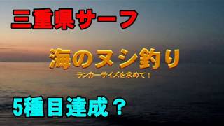 三重県サーフでショアジギング！これって５種目達成！？ヒラメ、マゴチ釣り