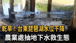 台東乾旱！琵琶湖水位下降　農業處24hr抽地下水搶救生態－民視新聞