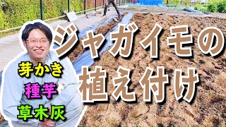 【春植え付け】ジャガイモ編