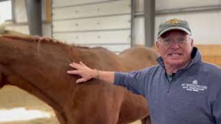 'word from the herd' - Henneke body score condition with Veterinarian Tom Judd