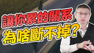 【棄貓效應】男人對你忽冷忽熱？學會這個心理學效應，女人反客為主征服他 /情感/兩性