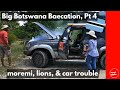 Big Botswana Baecation, Pt 4: Moremi Game Reserve & Okavango Delta (Overlanding Botswana Self Drive)