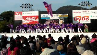 川棚温泉まつり舞龍祭【ふくこい連】