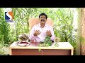 andariki ayurvedam ayurveda panchakarma chikitsa nasya karma dr ksr gopalan