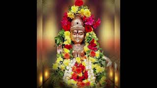 అయ్యప్పస్వామి🙏⛳#ayyappa #ayyappaswamy #kerala #yt #ytshorts #devotional