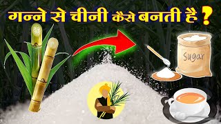 गन्ने से चीनी कैसे बनती है। how to make sugar from sugarcane। sugar making proce।चीनी कैसे बनती है