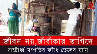 সিরাজগঞ্জে গরুর বদলে তেলের ঘানি টাছেন বৃদ্ধ দম্পতি! || Old couple || Asian Tv