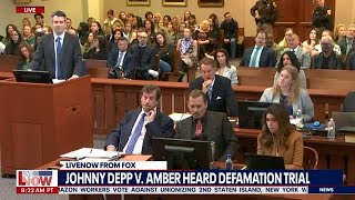 Johnny Depp lost $40M after Amber Heard op-ed: Expert | LiveNOW from FOX