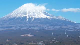 富士市　大渕笹場　茶畑と富士山　空撮