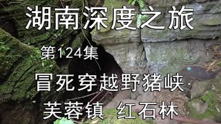 湖南深度之旅-124-D11-芙蓉镇-红石林～“冒死”穿越“野猪峡”（总第1236期-240619）