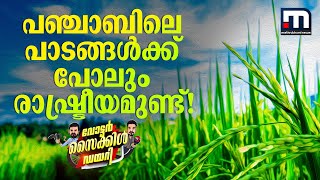 പഞ്ചാബിലെ കർഷകരാണ് സാർ..; കൊയ്ത്തു കഴിഞ്ഞ ഈ പാടങ്ങൾക്കും രാഷ്ട്രീയം പറയാനുണ്ട് | punjab