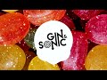 Hozier - Too Sweet (Gin and Sonic Remix)