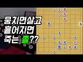 생명력 150년 내공이 담겨있는 5졸의 위력