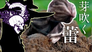 【ゆっくり実況】春に芽吹く？！とどめのデモゴルゴン！DBD!殺人鬼vs生存者#118