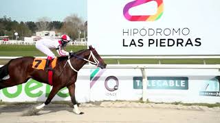 210625 c01 - HAZARD - HIPODROMO LAS PIEDRAS