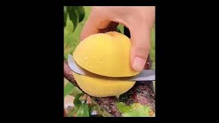 119 OMG!😍#fruit #fruits #plants #conuntryside #nature#satisfying#rurallife  #asmr #fyp