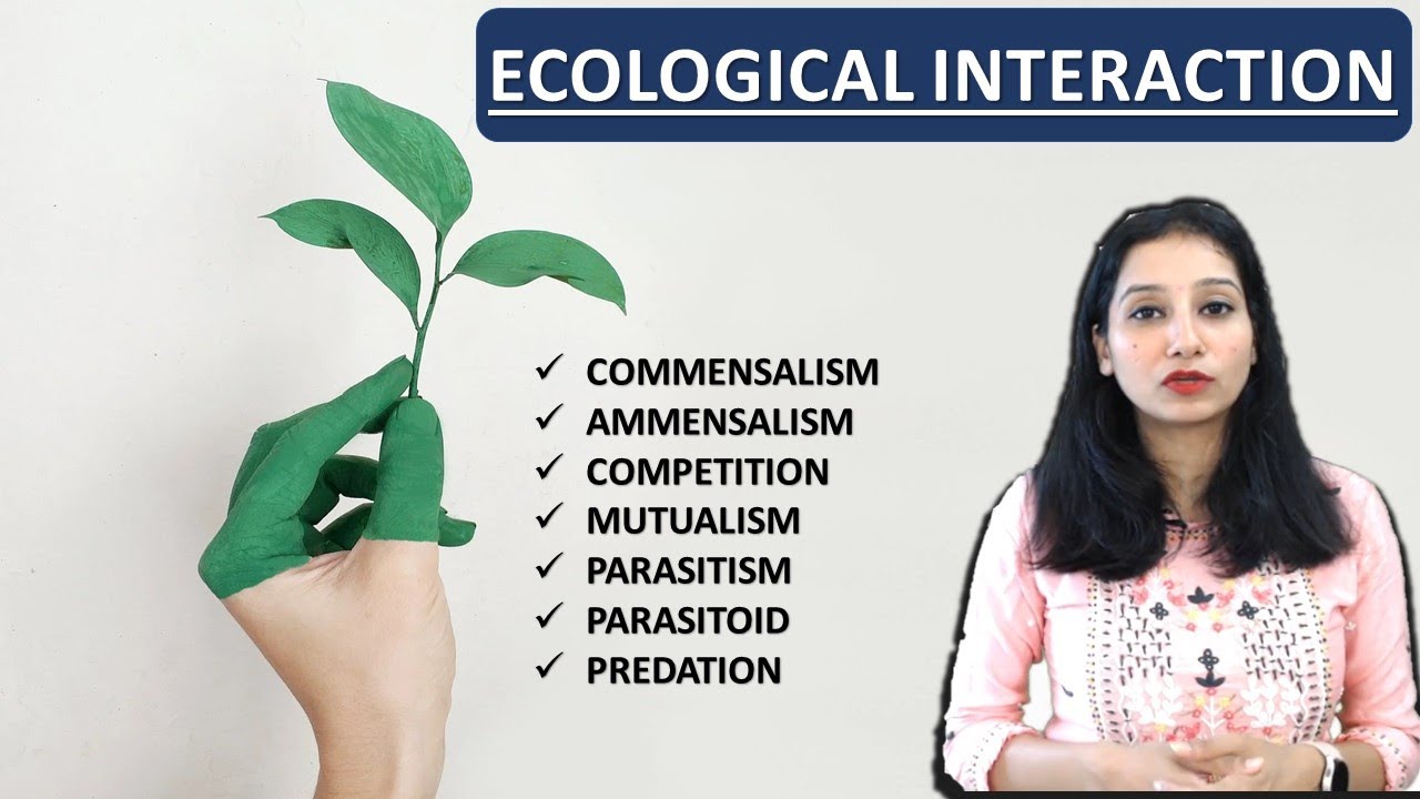 Ecological Interaction I Species Interaction I Organism & Population ...