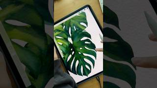 Procreate Paper Texture Tutorial #procreatetutorials