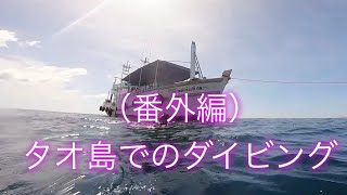 番外編〜KOH TAO Diving! タオ島ダイビング