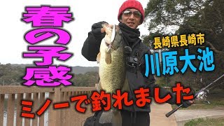 【バス釣り】ミノーで釣れました　エバーグリーン　LB-ローラー