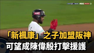 「新楓康」之子加盟阪神 可望成陳偉殷打擊援護－民視新聞