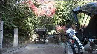 Autumn morning in Kyoto 2011 【京都　秋の朝】