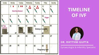 Timeline of IVF Explained Correctly | Dr Rhythm Gupta - Fertility Specialist