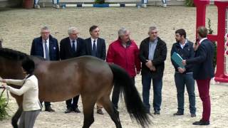 Hommage aux fils de Baloubet du Rouet