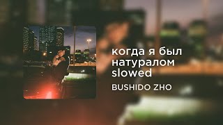 BUSHIDO ZHO - когда я был натуралом (slowed+reverb)