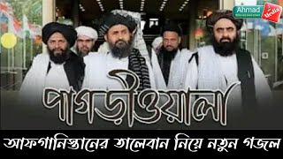 আফগানিস্তানের গজল পাগড়ীওয়াদের বিজয়। চমৎকার বিজয়ের গজল। পাগড়ীওয়াদের বিজচারিদিকে শুনি বিজয়ের গজল।