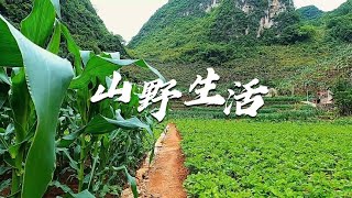 床车自驾游，一个人在大山里做客，发现一处绝佳的隐居好地方。