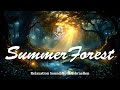 Summer Forest Sounds for Meditation & Relaxation | Birdsong, Rustling Grass, Woodpecker Rhythm