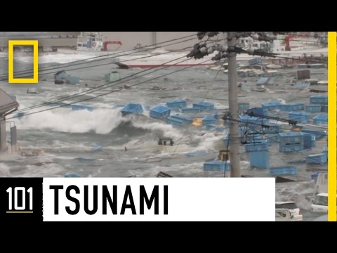 Tsunamis 101 National Geographic Ejoy English