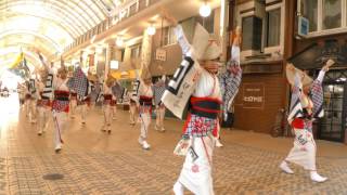 海道よさこい2015　備中岡山伊呂波　4ｋ　商店街アーケードストリート