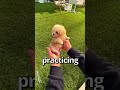 HOW WOULD YOU Rate this PUPPY 😱 | Wholesome Moments