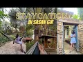 The Fern Gir Forest Resort - Luxury In Forest |Best Hotel Resort in Sasan Gir Gujarat|Property Tour