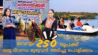 വെറും 250 രൂപക്ക് ദിവസം മുഴുവൻ അടിച്ചു പൊളിക്കാം / Palaikari Aqua Tourism Centre