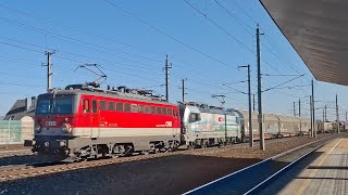 Durchfahrt der 1142 683-2 und 193 139-3 mit einem gemischten Güterzug in Linz Ebelsberg am 19.2.2025