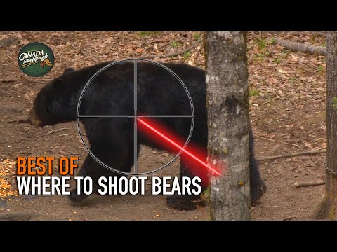 Where to Shoot a Bear BEST OF HUNTING compilation