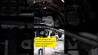 Holden Captiva 2.2 diesel :  Big hall on the intake manifold