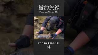 #鱒釣旅録 #snowpeak #baitfinesse #mountainstream #渓流釣り #rootwatsocks#megabass #福山正和 #🇯🇵#岐阜県