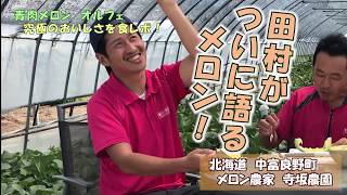 人気青肉メロン【オルフェ】のおいしさに悶絶。評価・評判とメロン論を語る！：北海道 富良野 メロン農家の寺坂農園