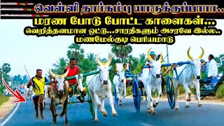 பெரியமாடு மணமேல்குடி 16-02-2021 மாட்டுவண்டி பந்தயம்  Manamelkudi maattuvandiPanthayam Periyamadu